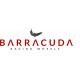 Автомобільні диски Barracuda